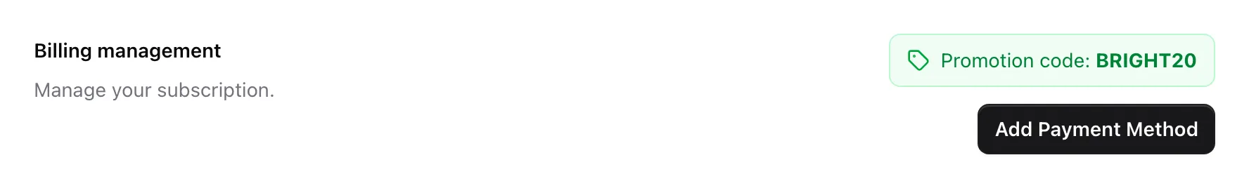 Billing management in the organization settings, with a promotion code and the Add Payment Method button